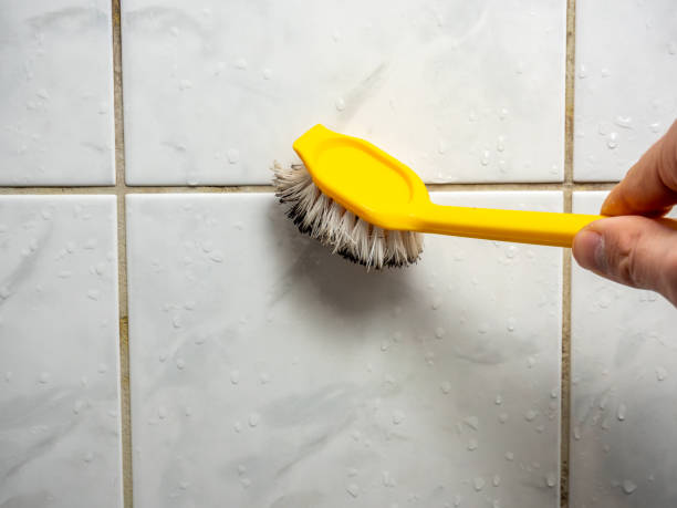 Best Bathroom Mold Remediation in Atlantic Beach, NY
